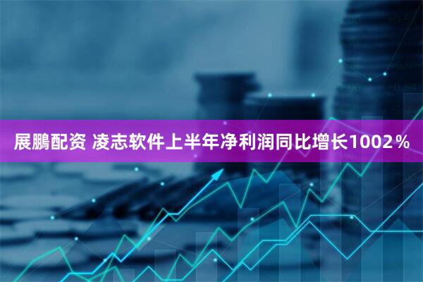 展鵬配资 凌志软件上半年净利润同比增长1002％