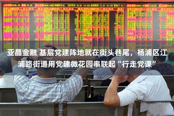 亚晶金融 基层党建阵地就在街头巷尾，杨浦区江浦路街道用党建微花园串联起“行走党课”